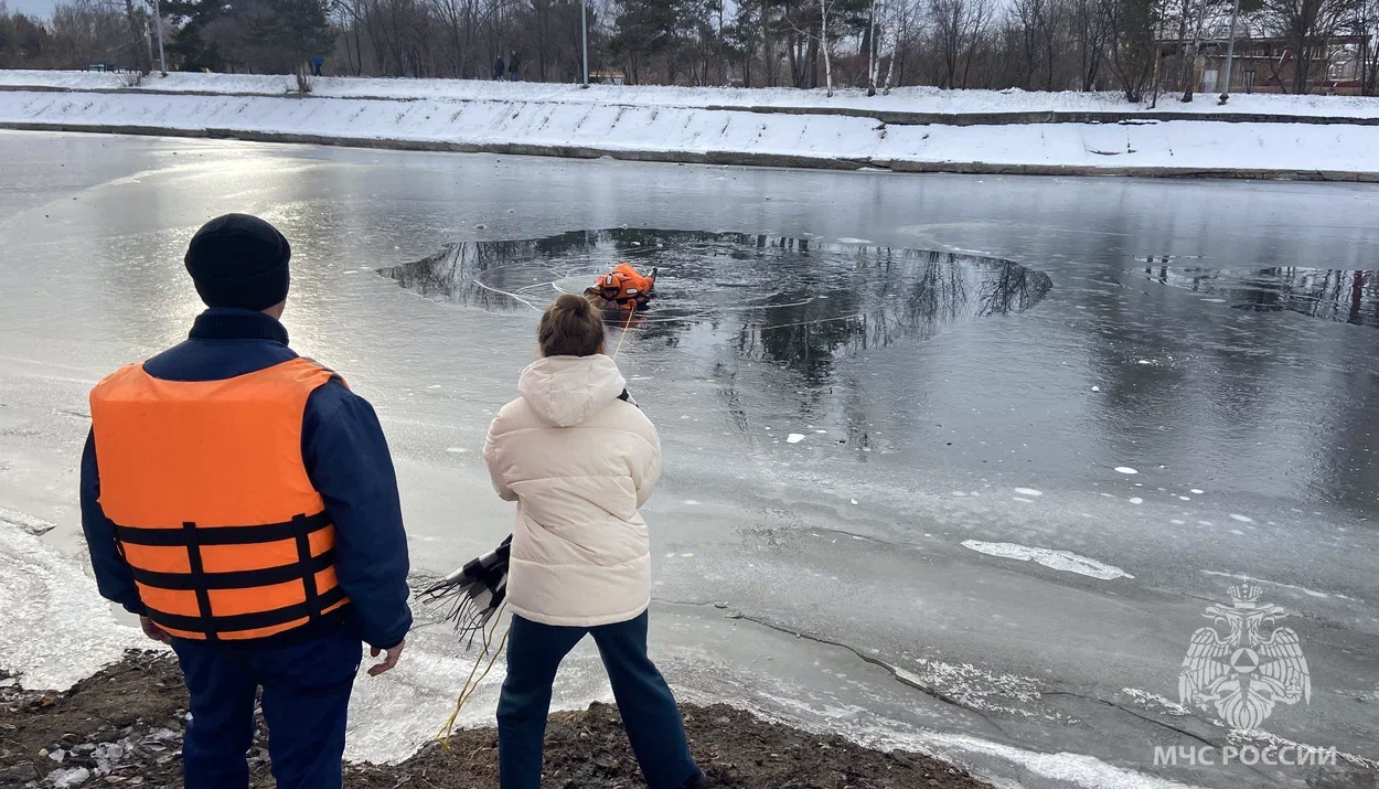 Открытые уроки по спасению и самоспасению при провале под лед проходят для  всех желающих на острове Юность в Иркутске - Новости - Главное управление  МЧС России по Иркутской области